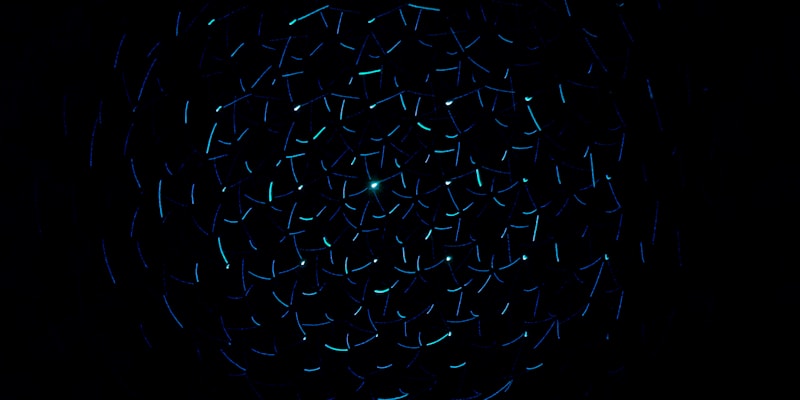 333体育高清足球直播实时画面截图