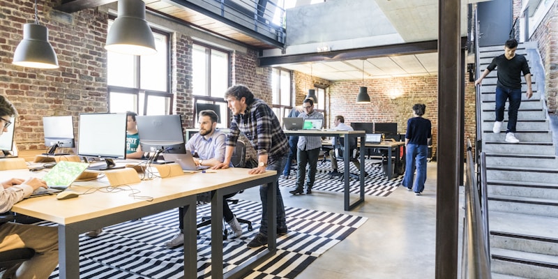 机构背书栏目展示图 - 333体育官方资质与团队介绍